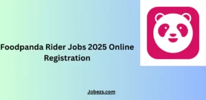 Foodpanda Rider Jobs 2025 Online Registration